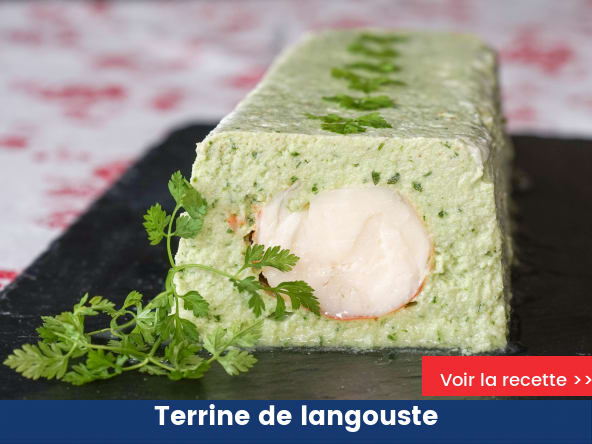 Terrine de langouste